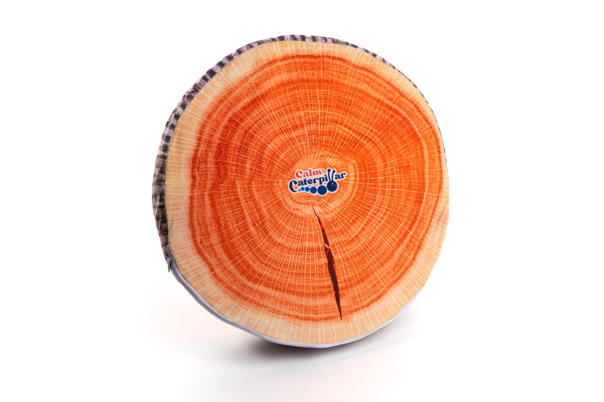 Stumpy the tree-stump floor cushion on a classroom floor