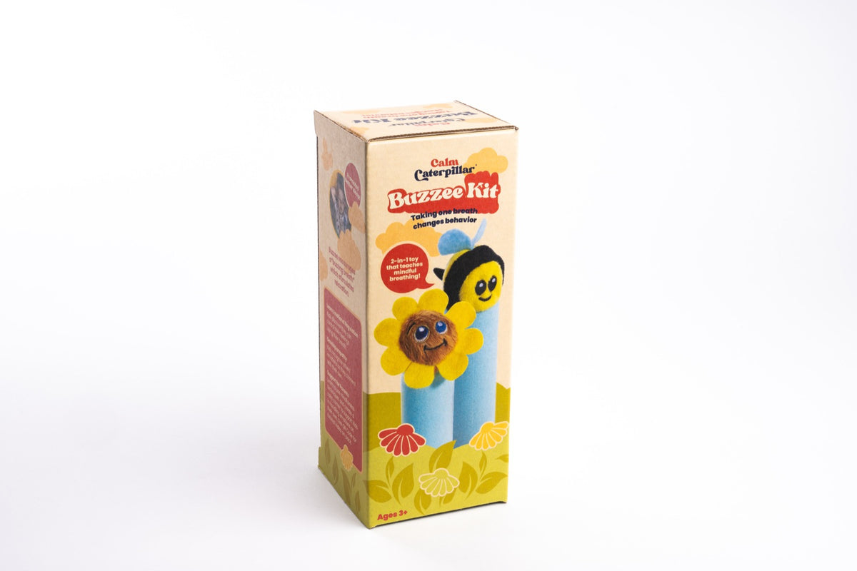 The Buzzee the Bee kit box