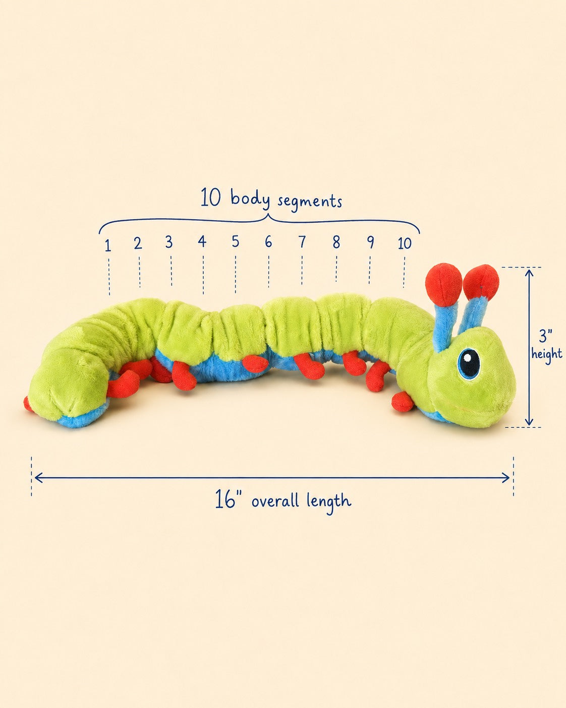 Calmee shown side-on with measurement callouts: ten body segments, three inches tall, sixteen inches long
